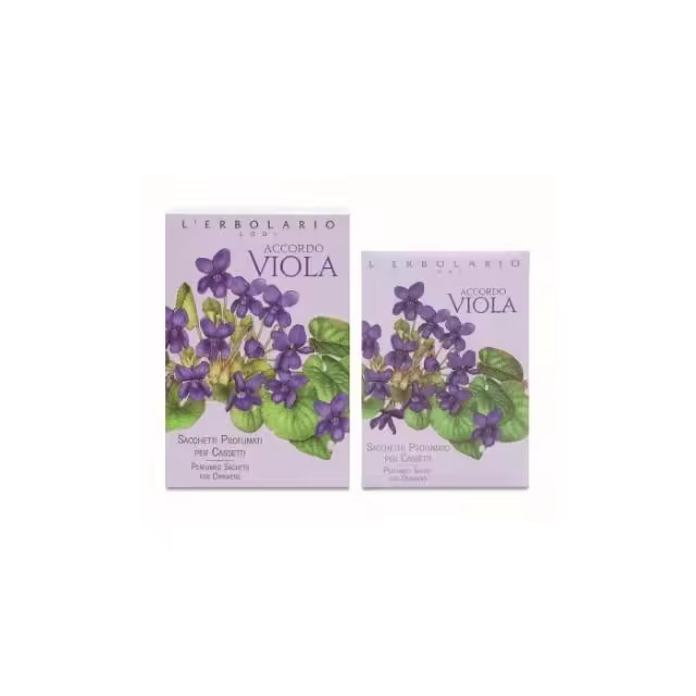 Accordo Violeta Saquito Cajón - 1