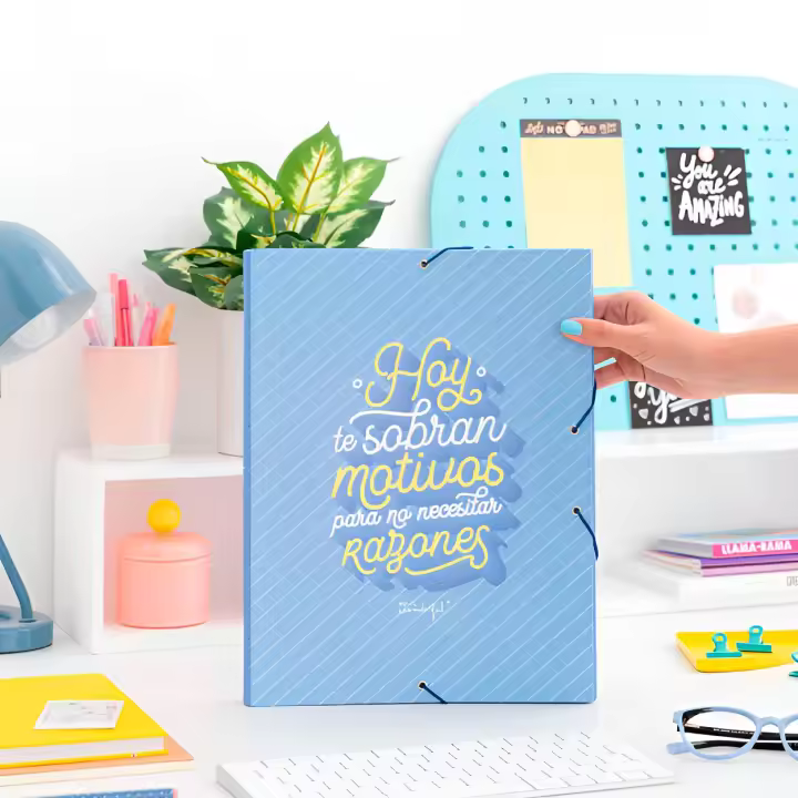 Carpeta Carton Separadora con Goma Elastica Mr. Wonderful - 12 Separadores Interiores - 1