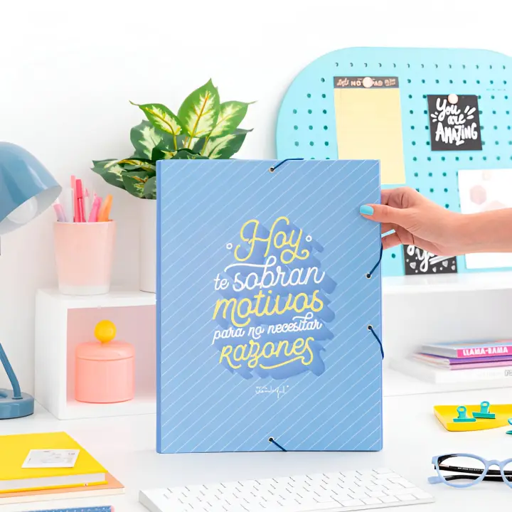 Carpeta Carton Separadora con Goma Elastica Mr. Wonderful - 12 Separadores Interiores - 1