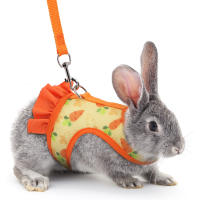 Juego De Correa Para Conejo Universal Con Estampado De Radish En El Pecho Y Cuerda De Tracción Al Aire Libre Accesorios Para Mascotas - details 7