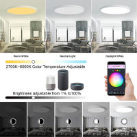 Lámpara De Techo Redonda Inteligente 24W RGB+WW+CW Soporte Para Control Remoto Por Smartphone Iluminación Variable De Color Con Ilusión Lámparas Modernas Para El Hogar - details 8