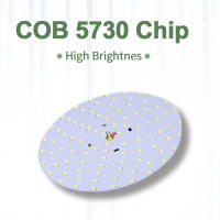 Bombilla LED E27 De Alta Brillo Para Ahorro De Energía Lámpara De Techo Para Sala De Estar Baño Iluminación Interior Fijación CANMEIJIA 220V Luz Fría (5500-7000K) - details 4