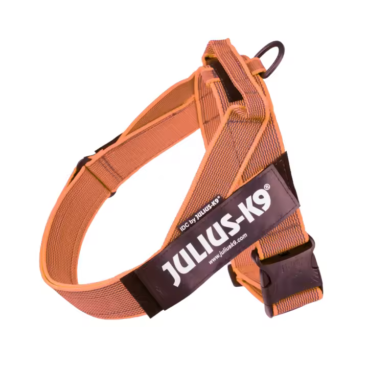 Arnes para perros Julius K9 Cinta IDC , arnes para mascotas , arnes resistente ,arnes ergonomico Platz K9 S.L. - 1