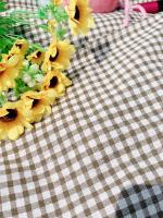Rde Picnic Outdoor Tapete Plegable Gingham Manta De Picnic Reutilizable Lavable Máquina Estilo Pastoral Poliéster/Celulosa Trenzado - details 4