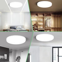 Lámpara Plafón LED Indonesia 20W - Ilumina tus Espacios con Estilo y Comodidad - Bel Air Home - details 5