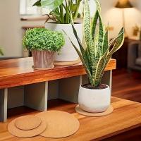 20 Piezas De Tavéndulas De Madera De Gomina Autocolantes Cojines De Madera De Gomina Para Cubiertos Modernos De Color Sólido Redondos Y Cuadrados - details 2