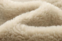 Chaqueta De Fieltro PB&ZA Para Mujeres Otoño E Invierno 2024 Cuello Redondo Abotonada Integrada Con Peluche Casual Para El Trabajo - details 11