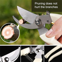 Tijeras De Podar Acero Inoxidable Herramientas Manuales Para Bonsái Jardinería Flores Ramas Hierba Uso En Trabajos De Carpintería - details 5
