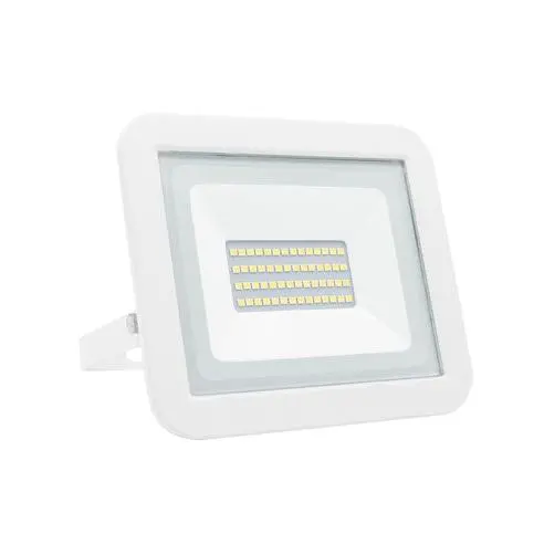 Proyector led plano blanco matel ip65 30w fría - 1