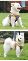 Correa Y Arnes Para Perro Y Gato De Malla Transpirable Para Verano Con Reflejos Seguro Para Chihuahua Yorkies Arnes De Cuello Básico Para Mascotas - details 10