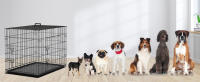 Nobleza - Jaula Metálica para Perros,Jaula para Mascotas con 2 Puertas, Bandeja Base de Plástico Resistente a la Masticación y Asa de Transport - Negro - details 2