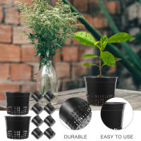10pcs Copas De Red Para Jardín Cesta De Red Para Plantas De Orquídeas Hidroponía Aquaponia Cultivo Orgánico Red Con Orificios - details 0