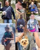 Bolsa Portabebés Manos Libres para Perros y Gatos - details 2