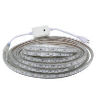 Tira LED Flexible RGB 5050 220V Luz Exterior Impermeable IP67 60leds/m Con Enchufe 5M/10M/15M Para Decoración De Hogar Y Jardín - details 2