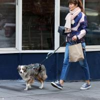 Correa Retráctil Reflectante Y Elástica Doble Para Perros Correa Portátil Para Running Correa De Cadena Para Mascotas Suministros Al Por Mayor - details 1