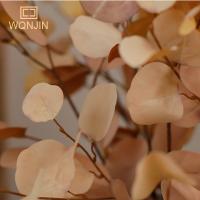 1PC Hojas De Árbol De Otoño Artificiales Para Decoración De Boda Y Hotel Eucalipto Y Manzana Simulación De Hojas De Planta Artificial De Seda - details 5