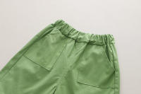 Ropa De Verano Para Bebé Niño Casual Nueva Con Dinosaurio Camiseta Corta Y Pantalones 2 Piezas Algodón Ropa Infantil - details 10