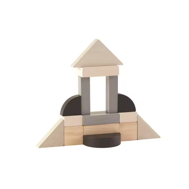 Juego Educativo Bloques de Madera Fracción Plantoys - 1
