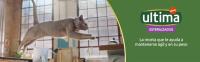 Ultima Esterilizado Adult Salmon, Comida Seca para Gatos, un Paquete de 10kg - details 0