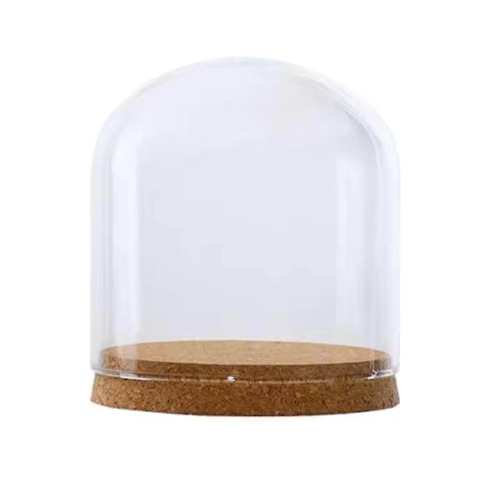 Cubierta de cúpula de campana de vidrio transparente Contenedor de Terrario de paisaje con base de madera S - 1