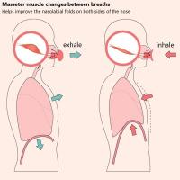 Ejercitador De La Mandíbula V Face Levantador Facial Eliminador De Doble Mentón Máscara De Musculatura Facial Equipo De Cuidado De La Piel Para Fortalecimiento Y Relajación - details 5