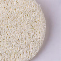 10Pcs Luffa Natural Exfoliante De Cuidado De La Piel Paños De Limpieza Facial Y Corporal Esponja De Escobilla Para Rociador - details 6