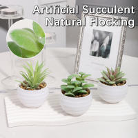 XIYA FLOWER Plantas Artificiales En Maceta De PE Y PP Para Decoración De Hogar Y Fiestas Plantas De Juego De 6 Piezas Estilo Grama - details 11