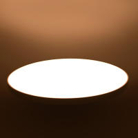 BEL AIR HOME - Lámpara Plafón RGB LED de 30W con Control de APP Compatible con Amazon Alexa y Google Assistant, Diámetro 30cm - details 3