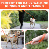 Correa Para Perros De 6 Piezas Larga De Poliamida Con Mango Suave Y Durable Con Ganchillo De Rotación Metálica Para Pequeños a Grandes Perros - details 7