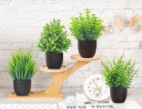 Pack De 4 Plantas Artificiales Pequeñas Para Baño Y Oficina Decoración De Escritorio En Interiores Plástico Negro Accesorios Para Baño - details 2