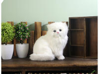 Juguete De Peluche Gato Persa Blanco Kawaii Simulación Realista Para Escritorio Decoración Del Hogar Regalo Para Niños Material De Peluche Relleno De PP - details 2