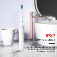 Cepillo De Dientes Eléctrico Seago USB Recargable Para Adultos Limpieza Ultrasonica Con 10 Cabezas De Repuesto Incluidas - details 3