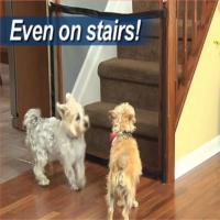 Cerradura De Seguridad Retráctil Para Perros Y Niños Puerta De Malla De Protección Para Interior Y Exterior Inovadora Barra De Guardia Para Escaleras - details 3