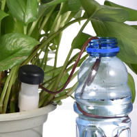 8Pcs Pitones De Cerámica Autoidal Para Riego De Plantas Interiores Sistema De Rociado Automático Para Cultivos En Interior - details 4