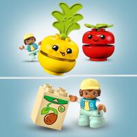 Lego Duplo Tractor de Frutas y Verduras Lego 10982 - details 4