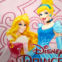 Princesas Disney Toalla Poncho de Playa y Piscina para Niñas de 2 a 6 años, Princesas Disney Poncho Microfibra Tamaño 50x50cm (Desplegado 50x100cm), Poncho Infantil con Capucha Niñas, Color Rosa - details 0