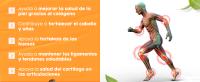 ArticuCol - Colágeno marino hidrolizado con Condroitina, Magnesio, MSM, Vitamina C, Vitaminas B1 B2 B5 y B6, Hialuronato sódico - Articulaciones Fuertes y Piel Sana - Bote de 300g Espadiet - details 2