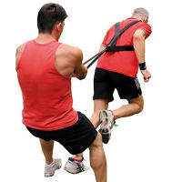 Arnes De Hombro Para Equipo De Fitness Accesorios Deportivos De Entrenamiento De Peso Resistencia Correa Para Músculo Dragón De Sled Pull En Gimnasio - details 2