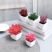 Juego De Macetas De Plástico Evergreen Para Decoración De Escritorio Y Oficina Estilo Suculentas Sin Mantenimiento Realista - details 23