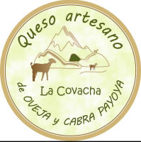 Queso curado de Oveja Artesano La Covacha envuelto en Aceite de Oliva,  Un viaje gustativo a la Sierra de Grazalema. (1 QUESO 2KG APROX) (1/2 QUESO 1KG APROX). - details 0