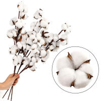 Rama De Algodón Artificial Blanca Para Decoración De Bodas Y Fiestas Flores Falsas Para El Hogar Y Exposiciones Con Hojas De Eucalipto - details 5