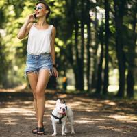 Correa Retráctil Para Perros Y Gatos 3M Automática Flexible Para Pequeños Y Medianos Animales De Compañía Correa De Tracción Para Mascotas - details 3