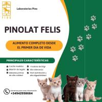 PINOLAT leche en polvo para gatos de Laboratorios Pino. Paquete de 4 sobres x 20 gr + biberón + cacillo medidor - details 0