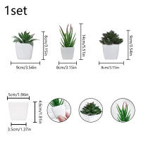 3 Macetas De Plantas Simuladas Pequeñas Para Decoración De Oficinas Salones De Estar Ventanas Jardines Y Courtyards - details 15