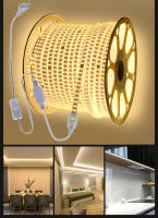 Tira De Luz LED Flexible 220V Doble Fila SMD2835 180Leds/m Impermeable Con Enchufe EU 1-15M 3000K 4000K 6000K Para El Hogar - details 1