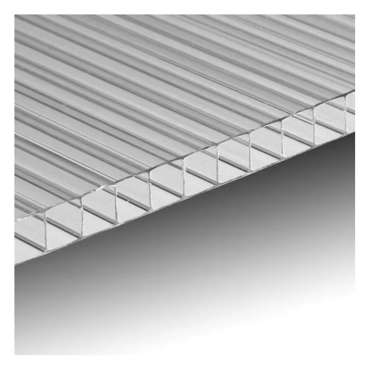 Hoja de policarbonato panel espesor 10 MM 200x100 cm Transparente - 1