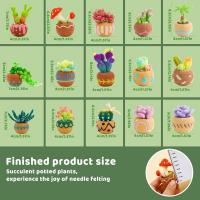 Set De Tejido Con Agujas KRABALL Para Principiantes Con Almohadilla De Lana Y Herramientas Para Manualidades DIY Kit De Cactus Y Suculentas - details 5