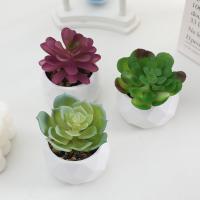 Evergreen Artificial Suculentas Simulación De Plantas Falsas Pequeñas En Macetas Cactus Bonsái Para El Hogar Material Plástico - details 5