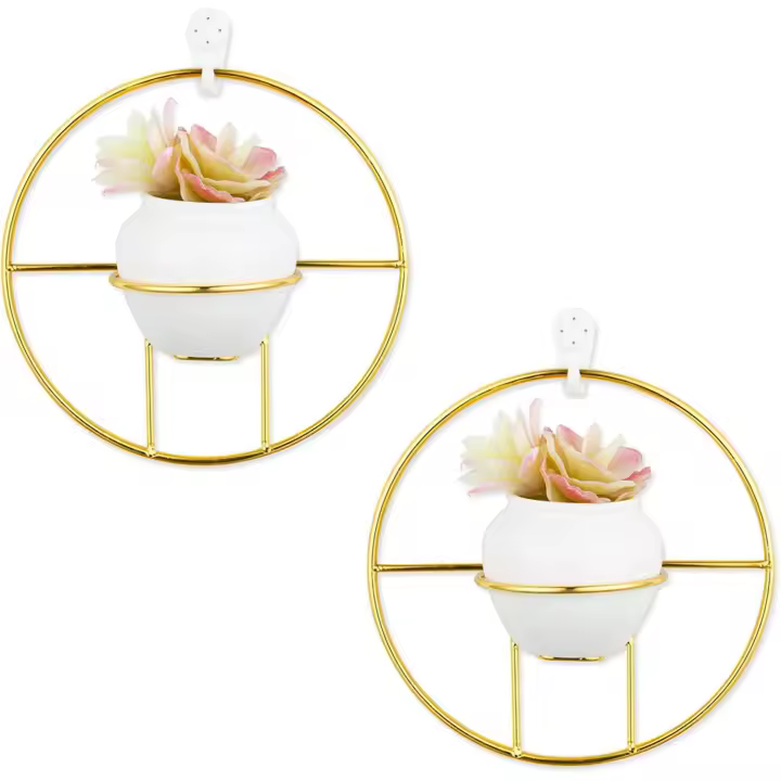 Juego de 2 macetas colgantes de interior Cactus Pot Decoración de pared Planta de interior Jardinera colgante Mini maceta colgante de pared Florero de cactus para plantas artificiales Contenedores suculentas - 1