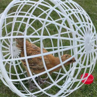 Jaula Para Pollos Caminantes 3pcs 20cm Jaula De Rodillo Para Peces Huevos Y Aves Domésticas Alimentación Libre Almohadilla De Juguete Para Hamsters - details 10
